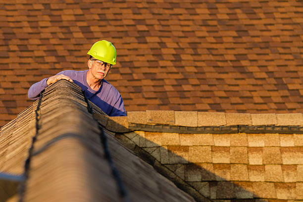 Best Roof Repair Services  in Eyota, MN